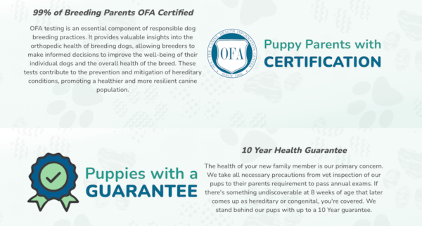 Premier Pups 10-Year Health Guarantee Explained 