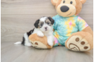 Happy Teddy Bear Baby