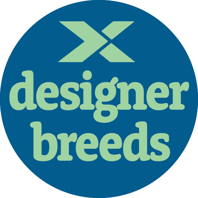 Designer Breeds Puppy For Sale - Premier Pups