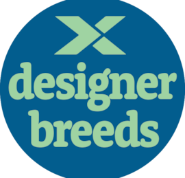 Designer Breeds Puppies For Sale - Premier Pups