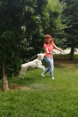 Madeline I - Premier Pups Team